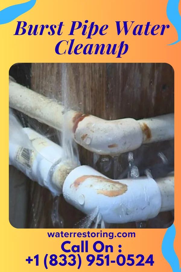 Burst Pipe Water Cleanup in Aurora, NC