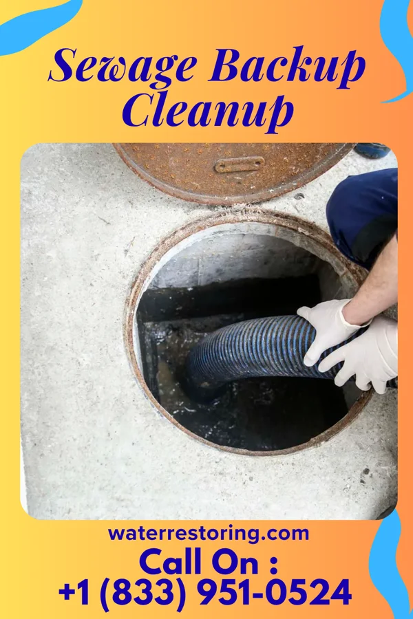 Sewage Backup Cleanup in Aurora, NC